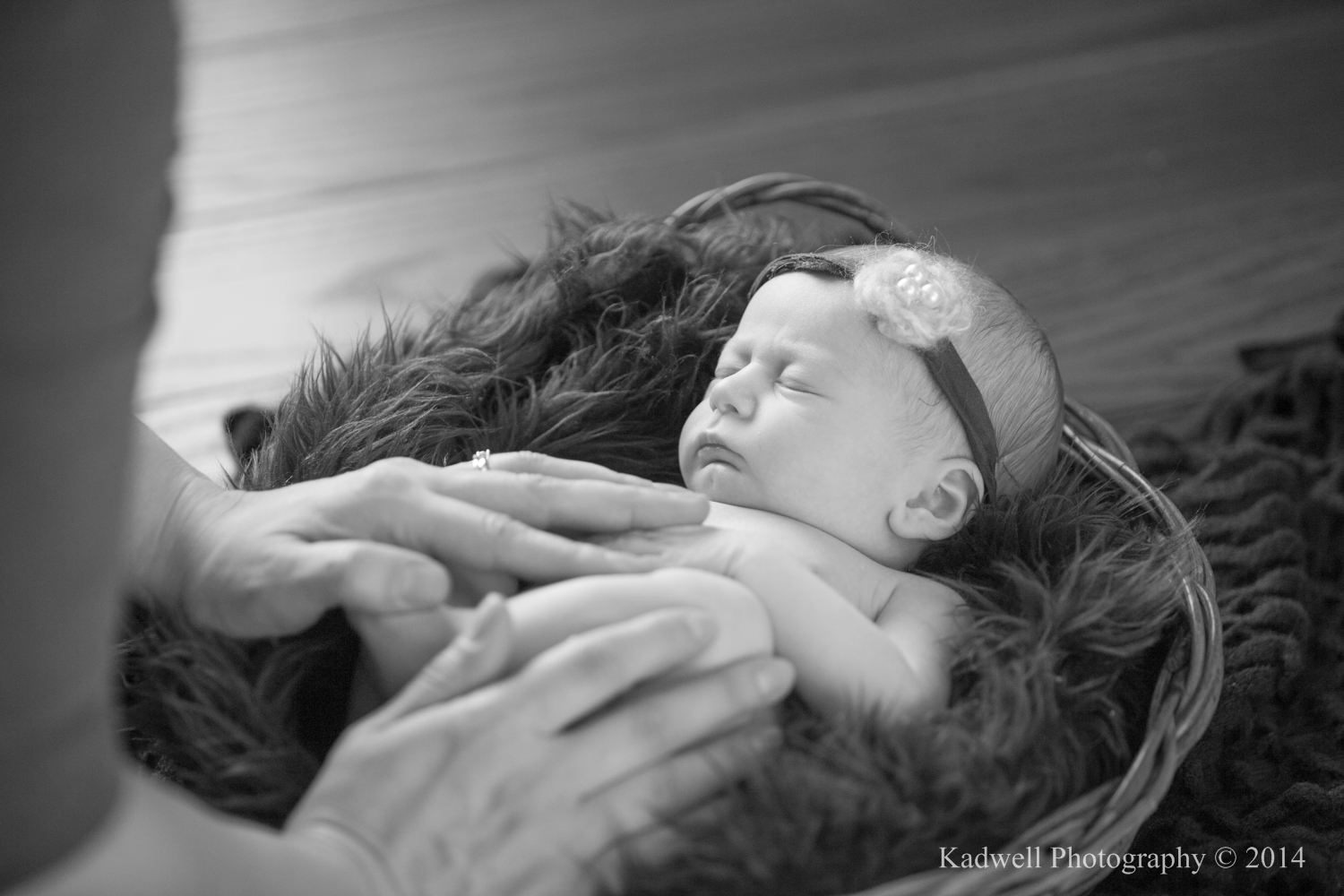 karma_blog (2 of 2)